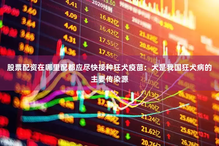 股票配资在哪里配都应尽快接种狂犬疫苗：犬是我国狂犬病的主要传染源
