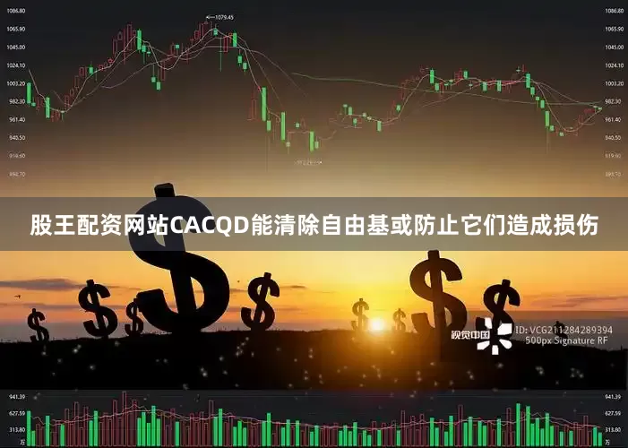 股王配资网站CACQD能清除自由基或防止它们造成损伤