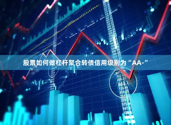 股票如何做杠杆聚合转债信用级别为“AA-”