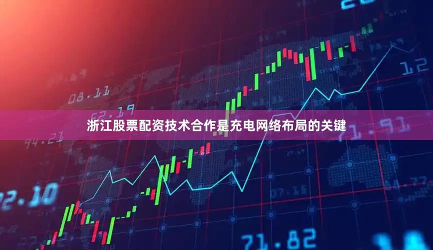 浙江股票配资技术合作是充电网络布局的关键