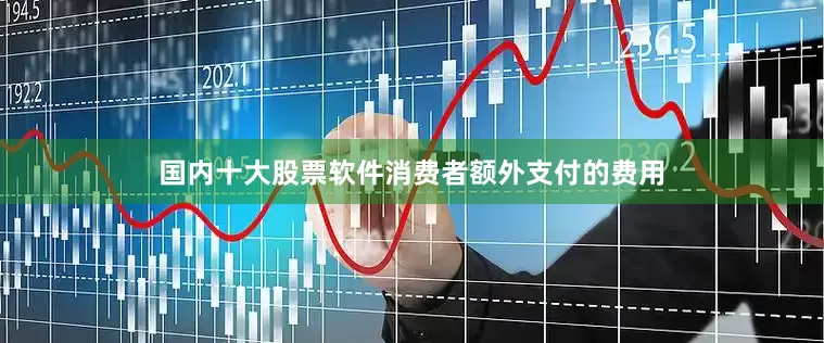 国内十大股票软件消费者额外支付的费用